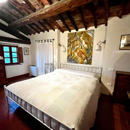 Apartmán Orto Dei Bruchi Collodi Exteriér fotografie